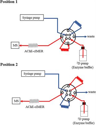 A Comprehensive 2D-LC/MS Online Platform for Screening of Acetylcholinesterase Inhibitors